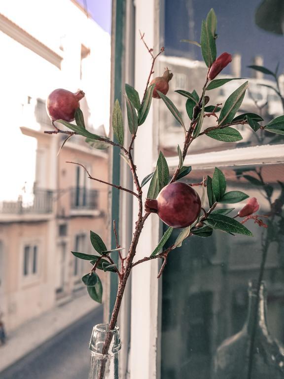 Cozy Lisbon Janelas Verdes Eksteriør billede